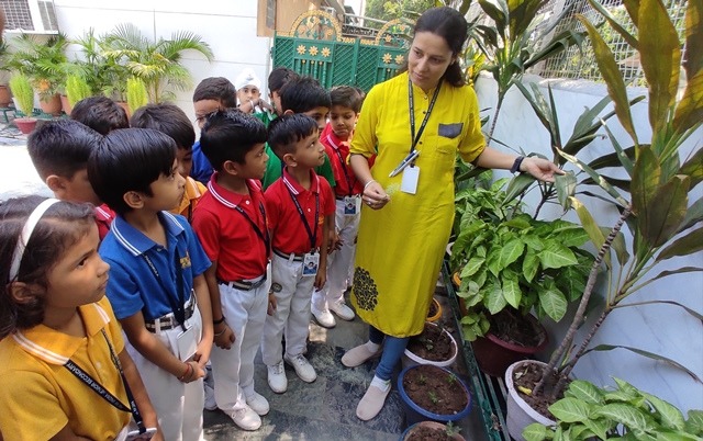 Plant Life Cycle Activity